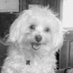 Meet your Posher, Kirk